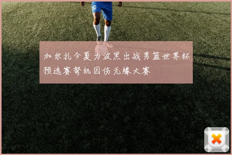 加尔扎今夏为波黑出战男篮世界杯预选赛弩机因伤无缘大赛