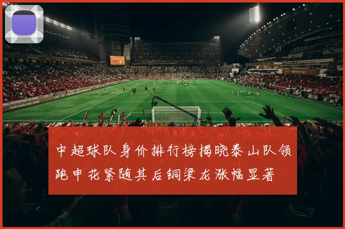 中超球队身价排行榜揭晓泰山队领跑申花紧随其后铜梁龙涨幅显著